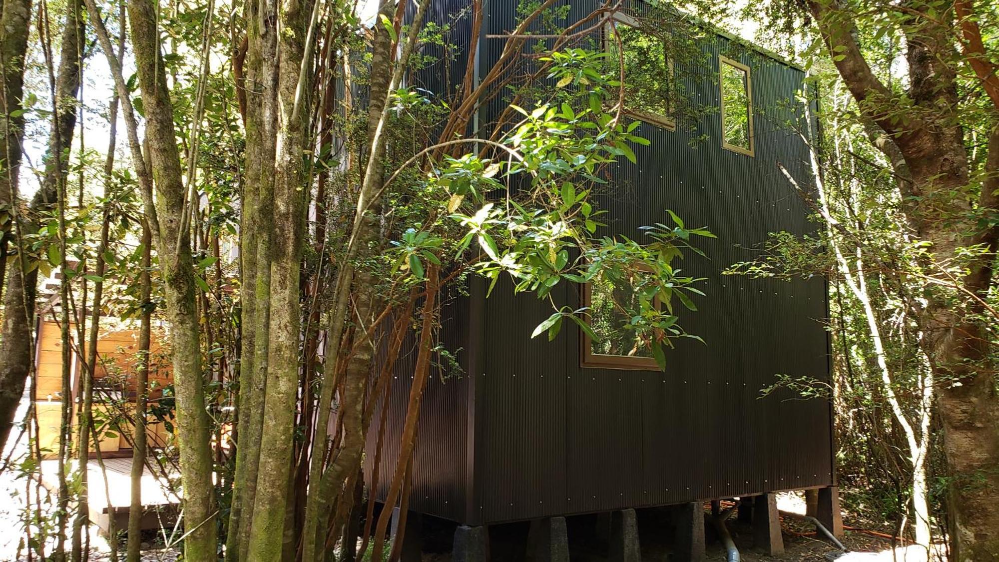 Appartement Cabana Refugio Del Bosque à Puerto Varas Extérieur photo